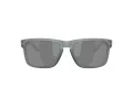 Oakley Holbrook Lunettes de Soleil OO 9102 Z4