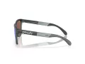 Oakley Frogskins Range Lunettes de Soleil OO 9284 19