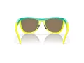Oakley Frogskins Hybrid Lunettes de Soleil OO 9289 02
