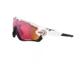 Oakley Jawbreaker Lunettes de Soleil OO 9290 05