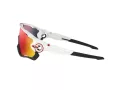 Oakley Jawbreaker Lunettes de Soleil OO 9290 05