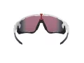 Oakley Jawbreaker Lunettes de Soleil OO 9290 05