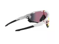 Oakley Jawbreaker Lunettes de Soleil OO 9290 05