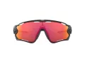 Oakley Jawbreaker Lunettes de Soleil OO 9290 48