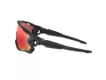 Oakley Jawbreaker Lunettes de Soleil OO 9290 48