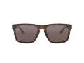 Oakley Holbrook Xl Lunettes de Soleil OO 9417 02