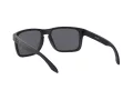 Oakley Holbrook Xl Lunettes de Soleil OO 9417 05