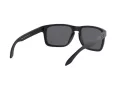 Oakley Holbrook Xl Lunettes de Soleil OO 9417 05