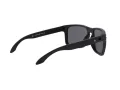 Oakley Holbrook Xl Lunettes de Soleil OO 9417 05