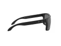 Oakley Holbrook Xl Lunettes de Soleil OO 9417 05