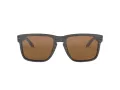 Oakley Holbrook Xl Lunettes de Soleil OO 9417 06