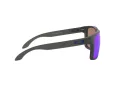 Oakley Holbrook Xl Lunettes de Soleil OO 9417 09