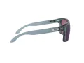Oakley Holbrook Xl Lunettes de Soleil 9417 14