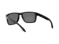 Oakley Holbrook Xl Lunettes de Soleil OO 9417 16