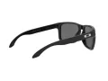 Oakley Holbrook Xl Lunettes de Soleil OO 9417 16