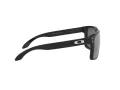 Oakley Holbrook Xl Lunettes de Soleil OO 9417 16
