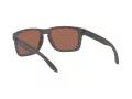 Oakley Holbrook Xl Lunettes de Soleil OO 9417 19