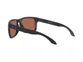 Oakley Holbrook Xl Lunettes de Soleil OO 9417 20