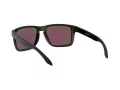 Oakley Holbrook Xl Lunettes de Soleil OO 9417 21