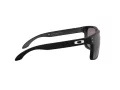 Oakley Holbrook Xl Lunettes de Soleil OO 9417 22