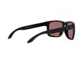 Oakley Holbrook Xl Lunettes de Soleil OO 9417 25