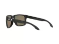 Oakley Holbrook Xl Lunettes de Soleil OO 9417 29