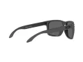 Oakley Holbrook Xl Lunettes de Soleil OO 9417 30