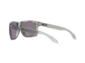 Oakley Holbrook Xl Lunettes de Soleil OO 9417 33