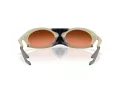 Oakley Plantaris Lunettes de Soleil OO 9437 02