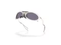 Oakley Plantaris Lunettes de Soleil OO 9437 06