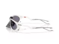 Oakley Plantaris Lunettes de Soleil OO 9437 06