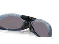 Oakley Plantaris Lunettes de Soleil OO 9437 09