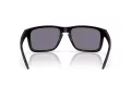 Oakley Holbrook Xxl Lunettes de Soleil OO 9487 01