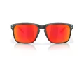 Oakley Holbrook Xxl Lunettes de Soleil OO 9487 06