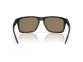 Oakley Holbrook Xxl Lunettes de Soleil OO 9487 06