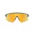 Oakley Stunt Devil Lunettes de Soleil OO 9517 05
