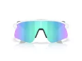 Oakley Stunt Devil S Lunettes de Soleil OO 9518 04