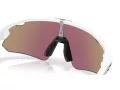 Oakley Stunt Devil A Lunettes de Soleil OO 9525 02