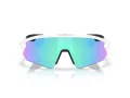 Oakley Stunt Devil A Lunettes de Soleil OO 9525 02