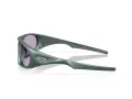 Oakley Neoforma Lunettes de Soleil OO 9528 02