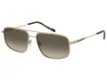 Pierre Cardin Lunettes de Soleil PC 6910/S AOZ/HA