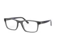 Polo Lunettes de Vue PH 2212 5763