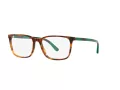 Polo Lunettes de Vue PH 2234 5017
