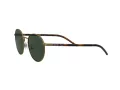 Polo Lunettes de Soleil PH 3133 9324/71