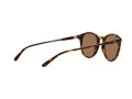 Polo Lunettes de Soleil PH 4110 5134/73