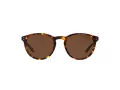 Polo Lunettes de Soleil PH 4110 5134/83