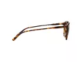 Polo Lunettes de Soleil PH 4110 5134/83