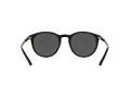 Polo Lunettes de Soleil PH 4110 5284/87