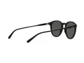Polo Lunettes de Soleil PH 4110 5284/87