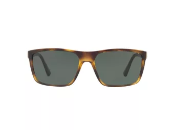 Polo Lunettes de Soleil PH 4133 5003/71